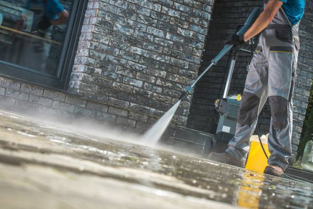 Best Gutter Cleaning  in Colusa, CA